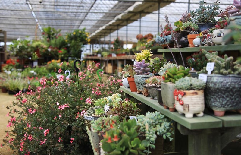 강화고인돌 캠핑장 시설 사진 15