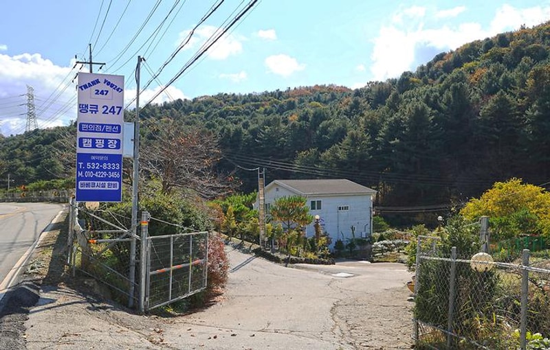 포천 땡큐247 캠핑장 대표 사진