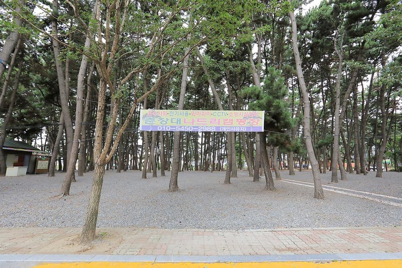 춘장대나드리캠핑장 시설 사진 3