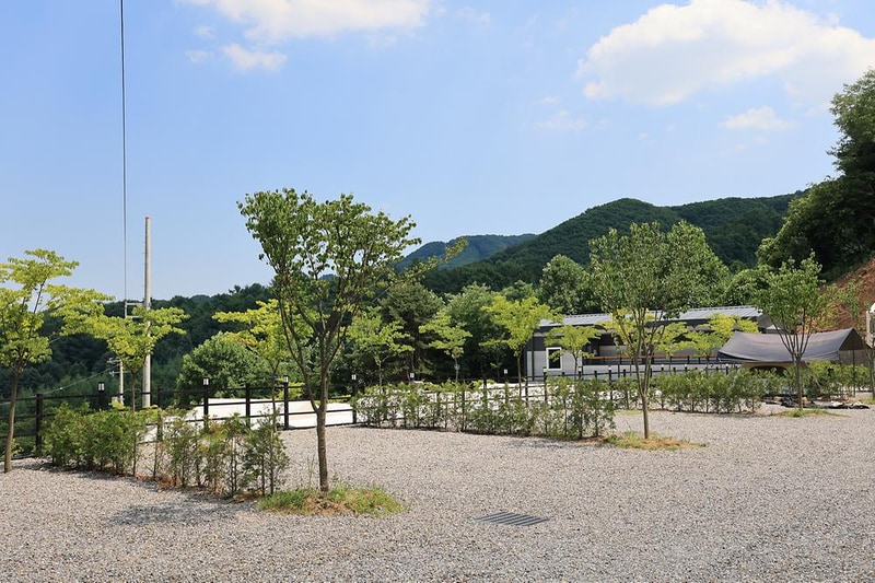 숲속에햇살캠핑장 시설 사진 13