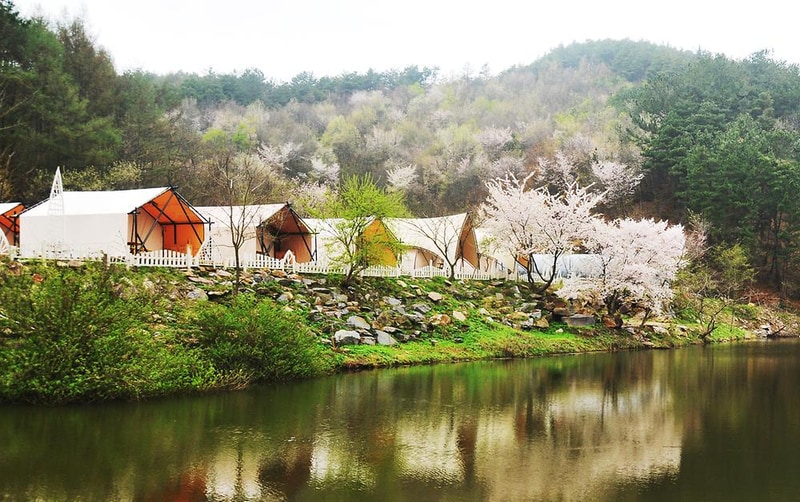 판앤팜 치유정원 시설 사진 14