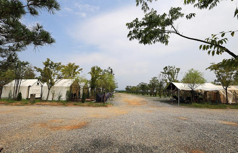 주식회사 대부도펜션시티 시설 사진 15