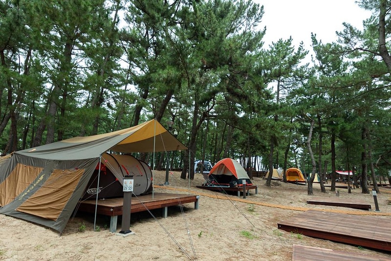 맹방 비치캠핑장 시설 사진 27