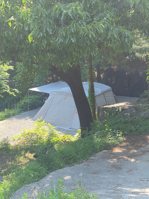 ️캠핑일기[2] 경기 양평 : 약수동산 캠핑장