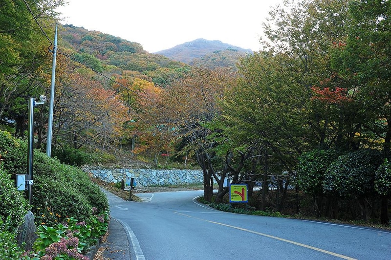 거제자연휴양림 시설 사진 10