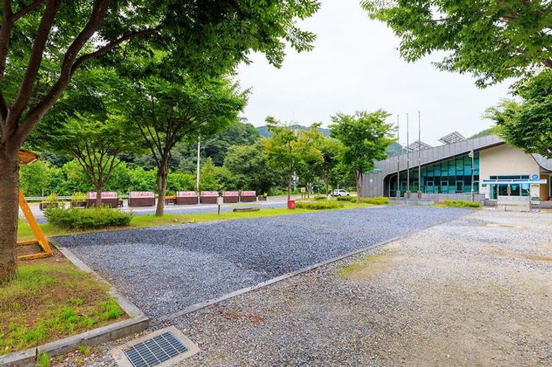 박달재초록꿈캠핑체험장 대표 사진