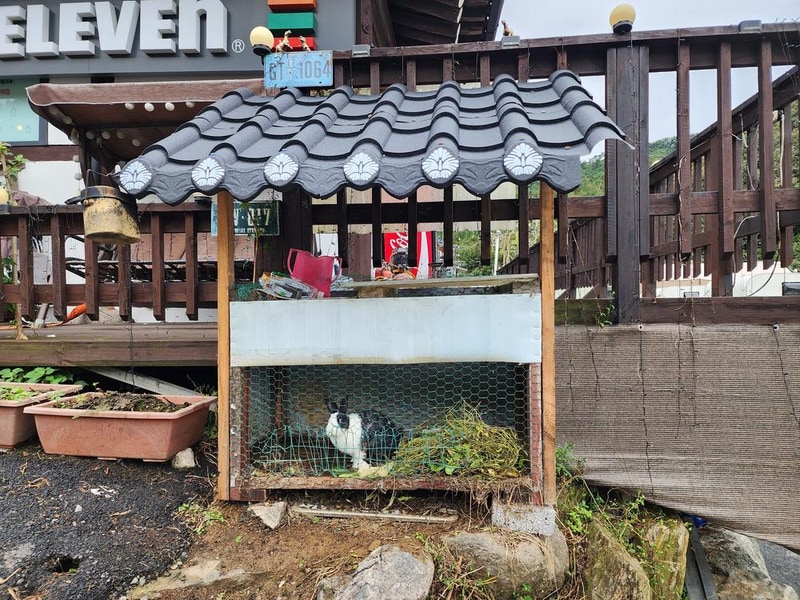 양평카라반파파 시설 사진 28