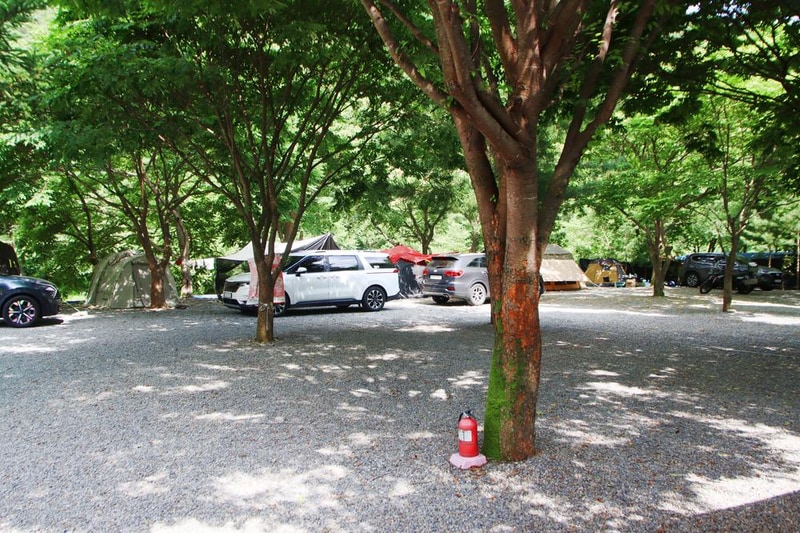 밤골야영장 시설 사진 13