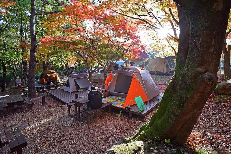 월출산국립공원 천황야영장 시설 사진 9