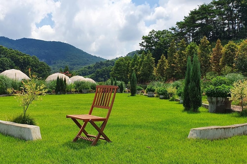 더힐링식물원 야영장 시설 사진 17