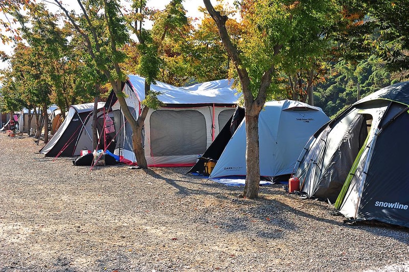 고성 장좌리 캠핑장 시설 사진 14