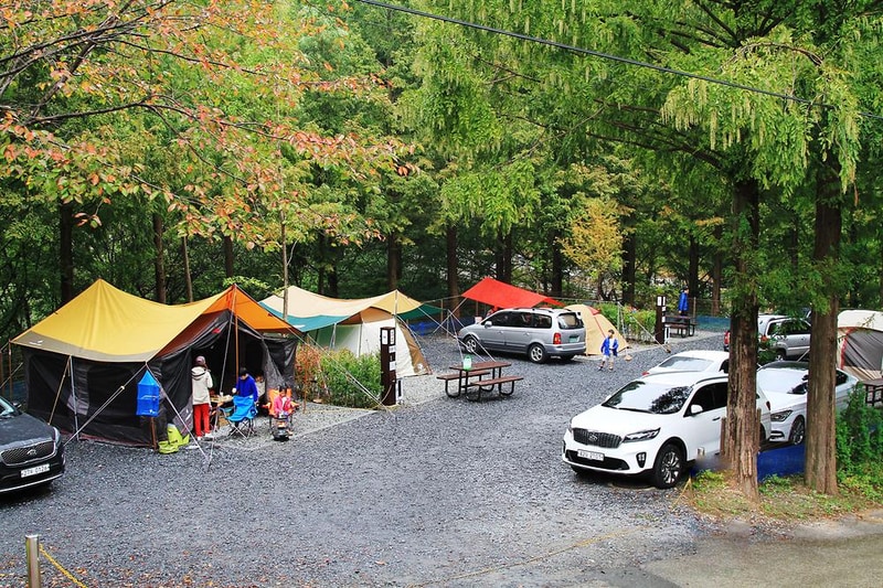 장태산 자연휴양림 시설 사진 10