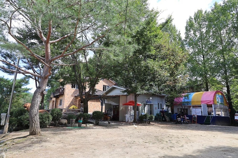 다 그린 시설 사진 12