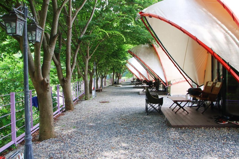 단양 글램핑&펜션 시설 사진 5