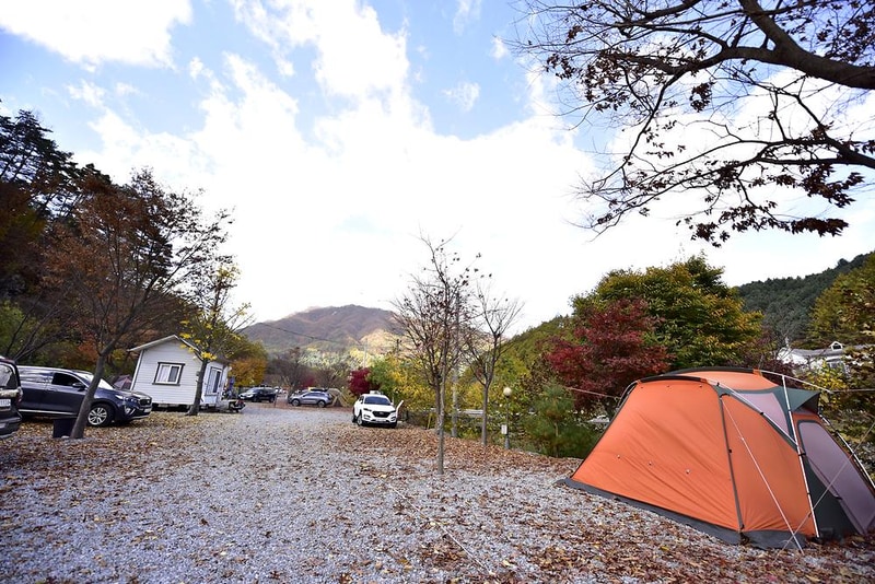 늘푸른쉼터 시설 사진 15