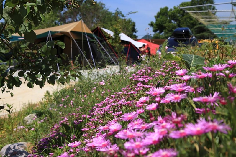 햇솔오토캠핑장 시설 사진 22