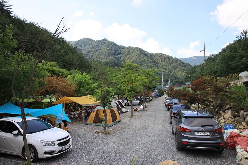 백년펜션 야영장 시설 사진 5