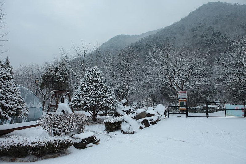 괴강관광농원 시설 사진 17