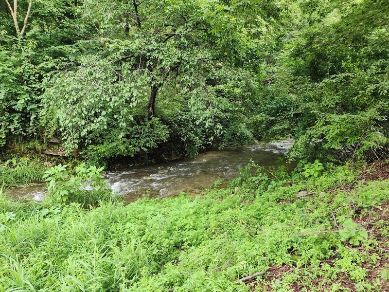 팔현야영장 시설 사진 24