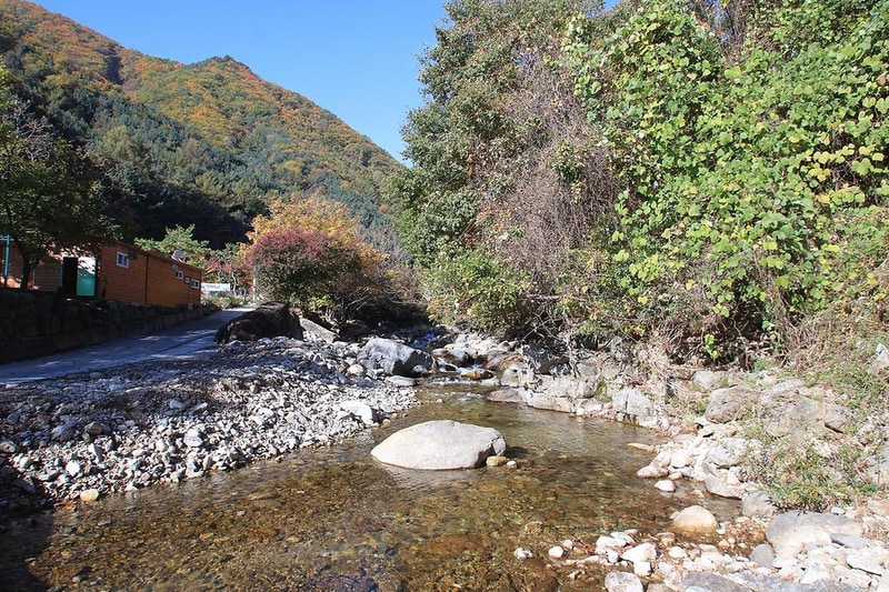 비로야영장 시설 사진 13