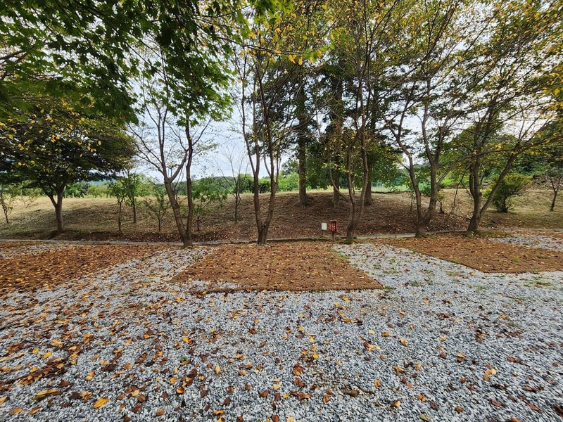 용인반딧불캠핑장 시설 사진 17