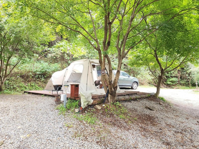 리틀 포레스트 캠핑 시설 사진 10