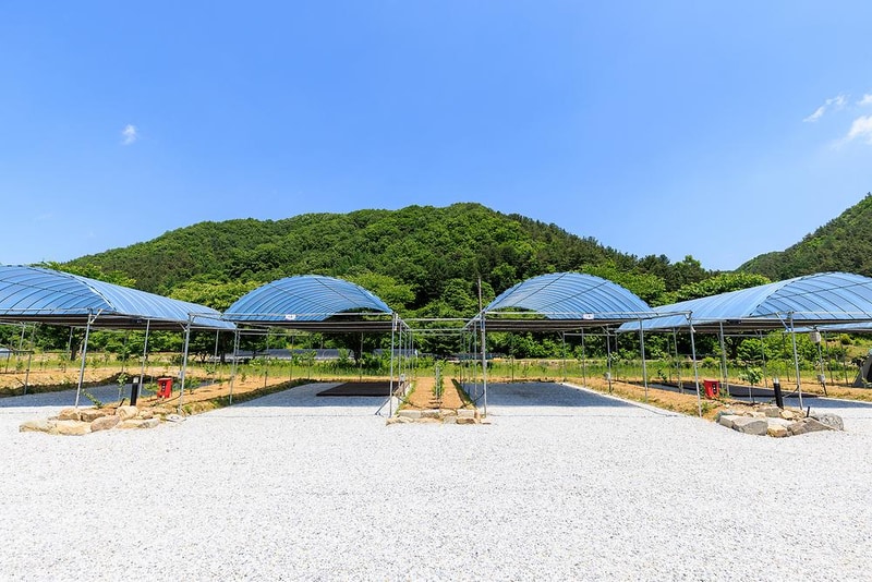 진악산오토캠핑장 시설 사진 11