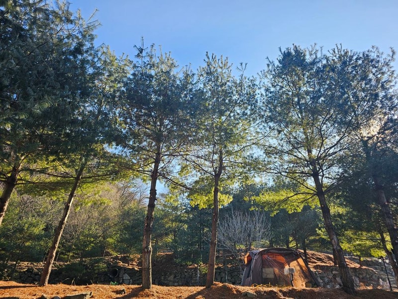 (에드203) 플라네캠핑장 시설 사진 2