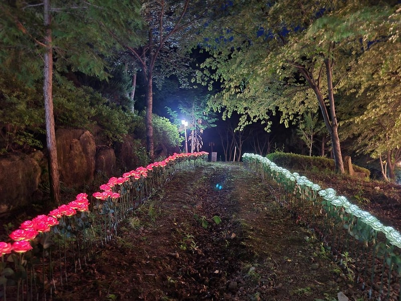 천지 글램핑 시설 사진 39