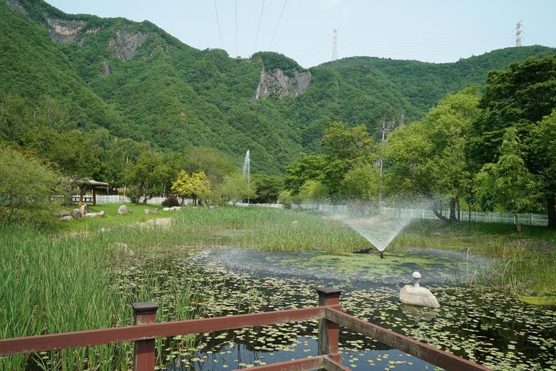 정선군생태체험학습장야영장 펫 동반 캠핑장 시설 사진 28