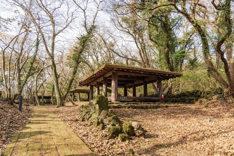 교래자연휴양림야영장 시설 사진 23