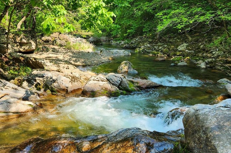 208덕동 캠핑장 시설 사진 6