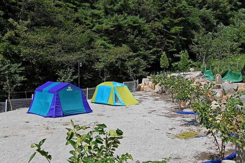 진북 편백골 관광농원 캠핑장 시설 사진 8