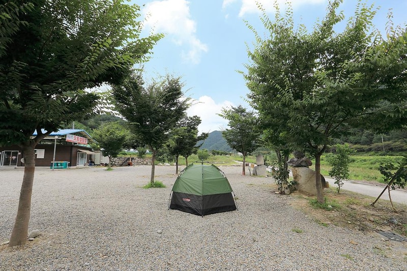 성주자연오토캠핑장 시설 사진 6