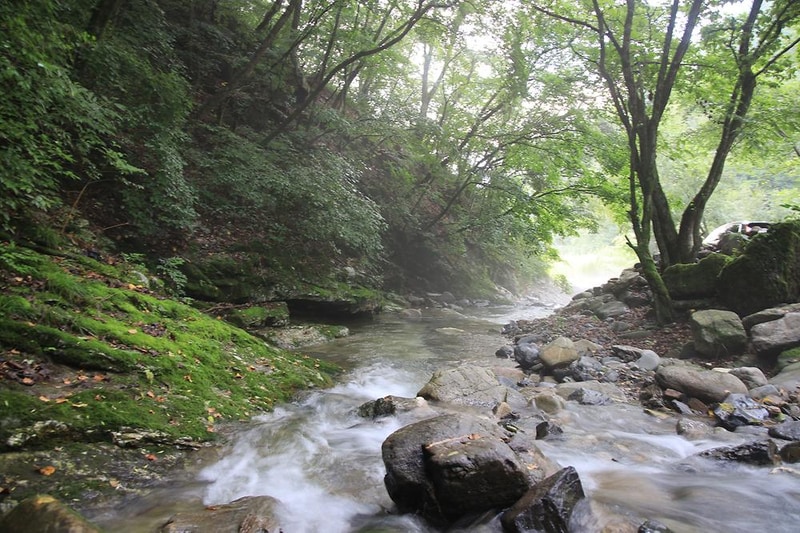 동빈네 캠핑장 시설 사진 1