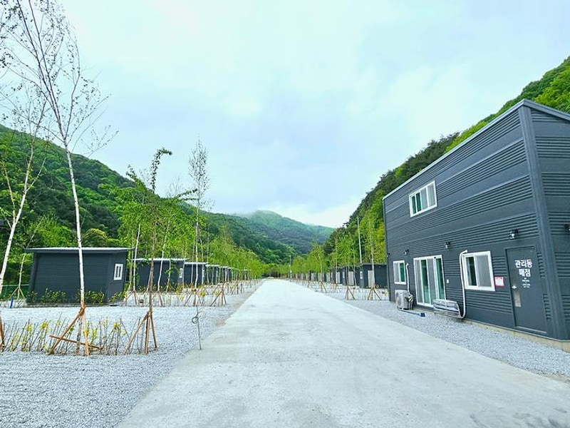 자작나무뜰 오토캠핑장