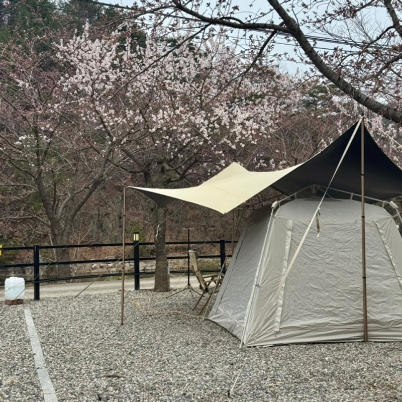 52. 삼척 엘림캠핑장