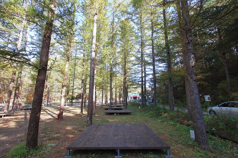 금강송 체험 야영장 시설 사진 13