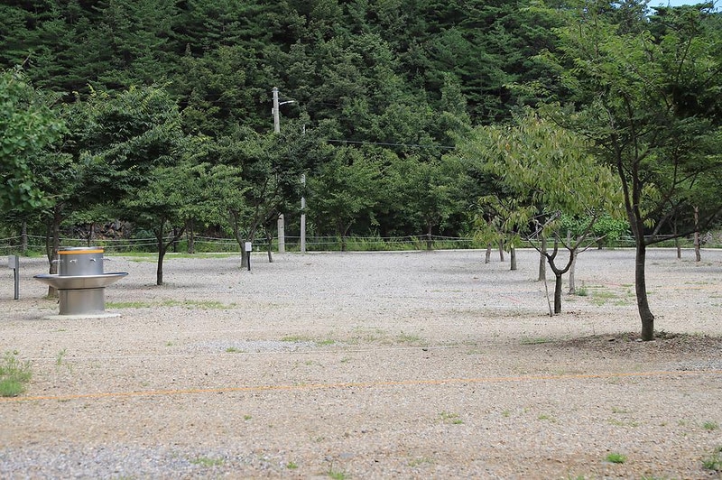 삼척엘림캠핑장 시설 사진 26