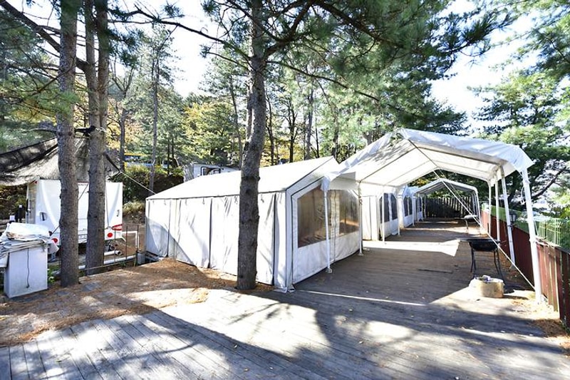 자이언트레저 대표 사진