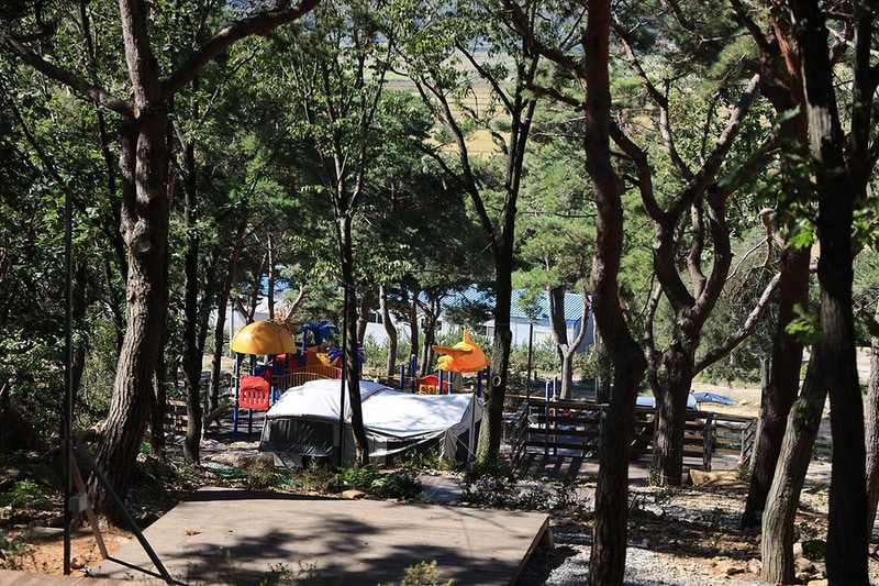 강화도 아침 숲속야영장 시설 사진 21