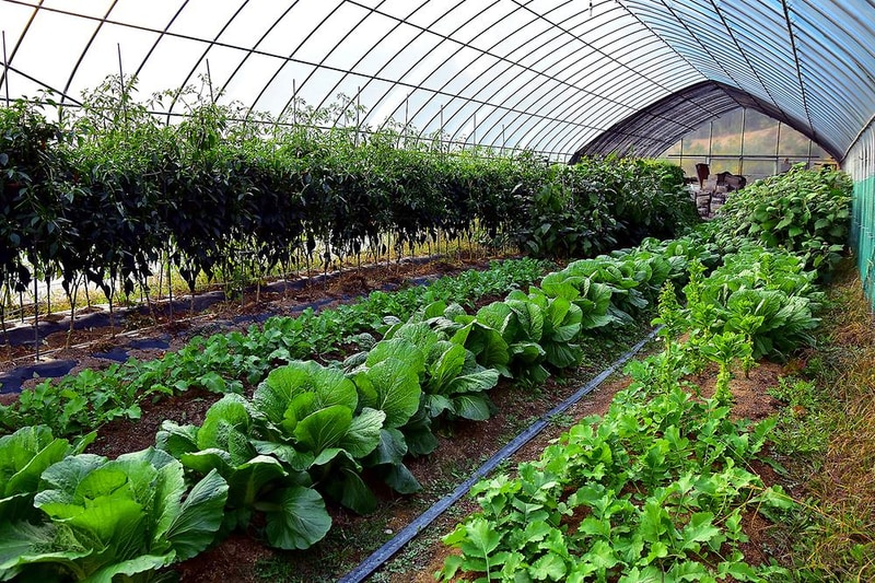 예손농원캠핑장 시설 사진 13