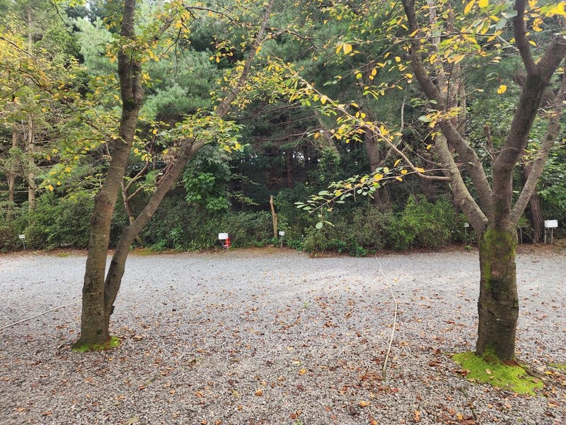 숲속에안뜰 캠핑장 시설 사진 6