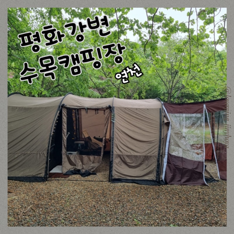 평화강변수목 캠핑장