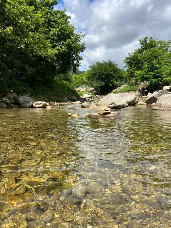 포레스트리 캠핑장 시설 사진 17