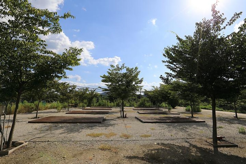 휴힐링 대표 사진