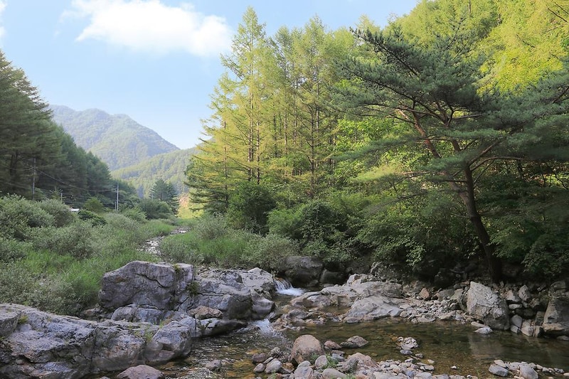 고향펜션캠핑 시설 사진 2