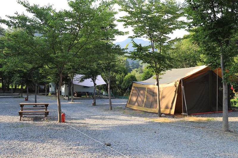 감악산캠핑숲 대표 사진