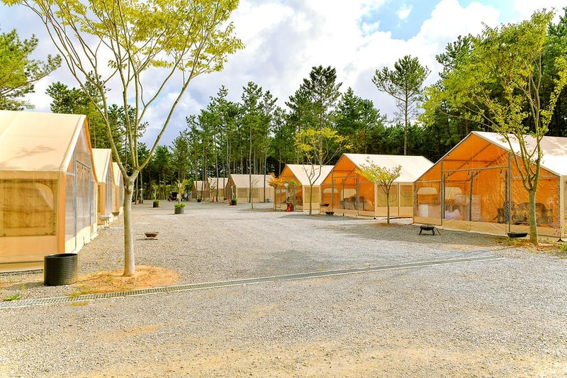 신두리정원오토캠핑야영장 시설 사진 19