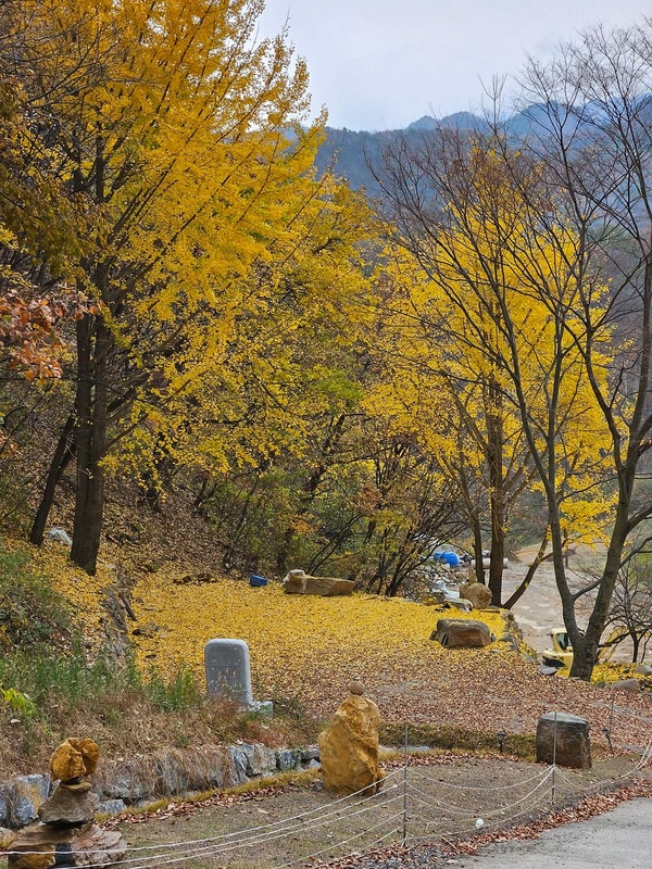 단양 도담캠핑장 시설 사진 10